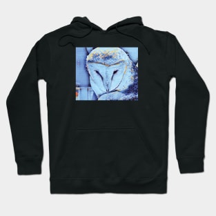 Ziggy the Barn Owl… Hoodie